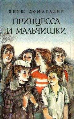 Януш Домагалик - Принцесса и мальчишки