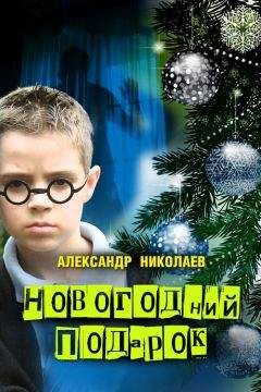 Александр Николаев - Новогодний подарок