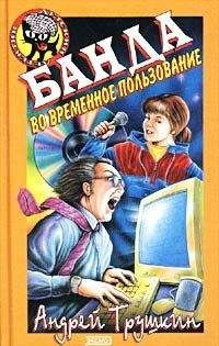 Андрей Трушкин - Банда во временное пользование