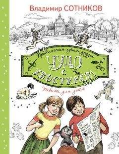 Владимир Сотников - Чудо с хвостиком