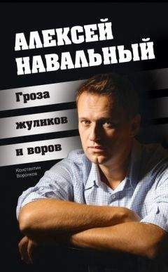 Константин Воронков - Алексей Навальный. Гроза жуликов и воров