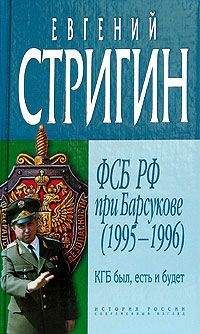 Евгений Стригин - КГБ был, есть и будет. ФСБ РФ при Барсукове (1995-1996)