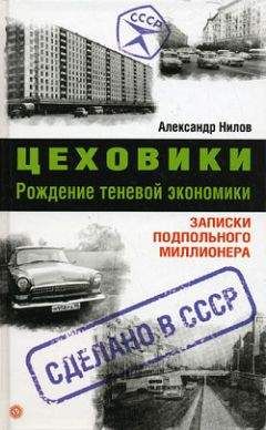 Александр Нилов - Цеховики. Рождение теневой экономики. Записки подпольного миллионера