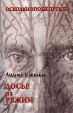 Андрей Савельев - Осколки эпохи Путина. Досье на режим