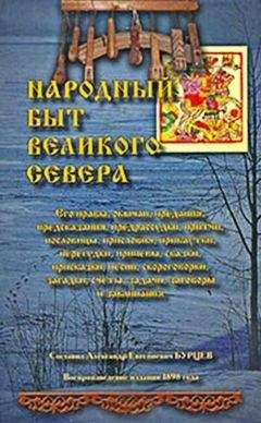 Александр Бурцев - Народный быт Великого Севера. Том II