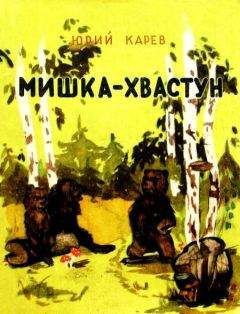 Юрий Карев - Мишка-хвастун