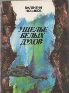 Валентин Новиков - Острова прошедшего времени