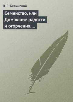 Виссарион Белинский - Семейство, или Домашние радости и огорчения. Роман шведской писательницы Фредерики Бремер…