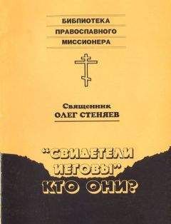 Священник Стеняев - &quot;Свидетели Иеговы&quot; - кто они?