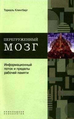 Торкель Клингберг - Перегруженный мозг. Информационный поток и пределы рабочей памяти