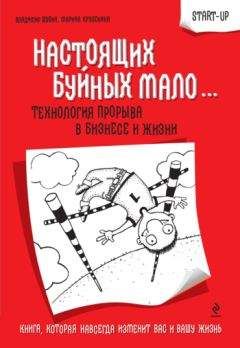 Владимир Шубин - Настоящих буйных мало... Технология прорыва в бизнесе и жизни