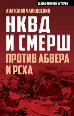 Анатолий Чайковский - НКВД и СМЕРШ против Абвера и РСХА