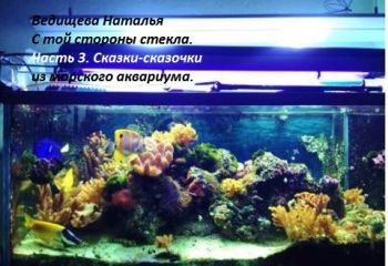 Наталья Ведищева - Сказки-сказочки