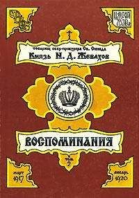 Николай Жевахов - Воспоминания. Том 2. Март 1917 – Январь 1920