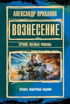 Александр Проханов - Вознесение (сборник)