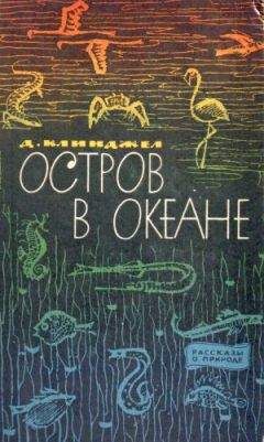 Гилберт Клинджел - Остров в океане