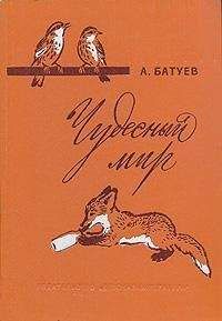 Андрей Батуев - Чудесный мир