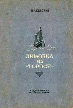 Николай Алексеев - Зимовка на «Торосе»