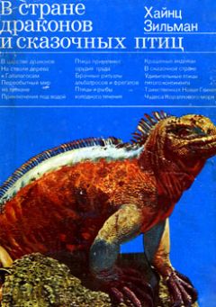 Хайнц Зильман - В стране драконов и сказочных птиц