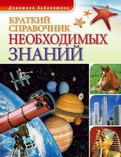 Андрей Чернявский - Краткий справочник необходимых знаний