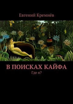 Евгений Кремнёв - В поисках кайфа