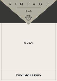 Toni Morrison - Sula