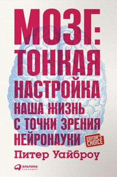 Питер Уайброу - Мозг Тонкая настройка. Наша жизнь с точки зрения нейронауки