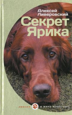 Алексей Ливеровский - Секрет Ярика