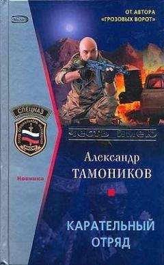 Александр Тамоников - Карательный отряд