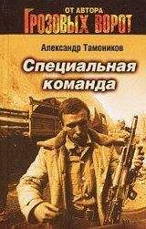 Александр Тамоников - Специальная команда