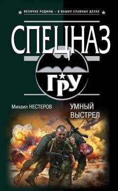 Михаил Нестеров - Умный выстрел