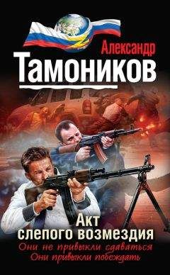 Александр Тамоников - Акт слепого возмездия