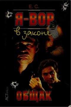 Олег Алякринский - Я — вор в законе: Общак