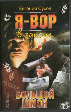 Олег Алякринский - Большой шмон