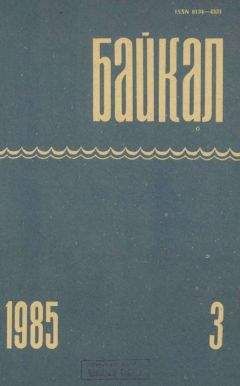 Даши Егодуров - На обочине