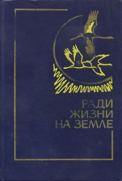 Николай Грибачев - Здравствуй, комбат!