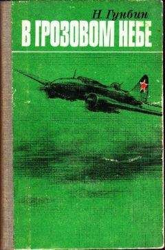 Николай Гунбин - В грозовом небе