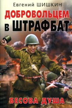 Евгений Шишкин - Добровольцем в штрафбат. Бесова душа