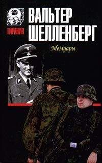 Вальтер Шелленберг - Мемуары [Лабиринт]