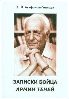 Александр Агафонов-Глянцев - Записки бойца Армии теней