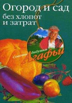 Агафья Звонарева - Огород и сад без хлопот и затрат