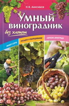 Николай Анисимов - Умный виноградник без хлопот