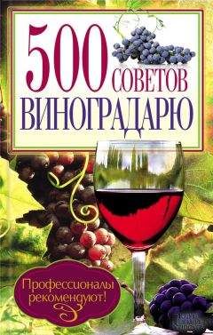 Юрий Бойчук - 500 советов виноградарю