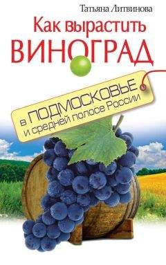 Татьяна Литвинова - Как вырастить виноград в Подмосковье и средней полосе России