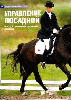 Автор неизвестен - Управление посадкой. Часть 2 &quot;Спинная пружина&quot; лошади.