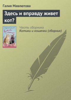 Галия Мавлютова - Здесь и вправду живет кот?