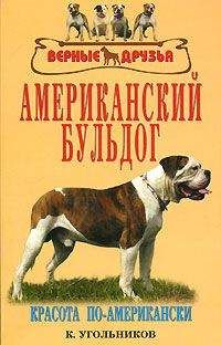 К. Угольников - Американский бульдог