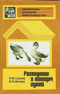 Павел Салеев - Разведение и откорм гусей