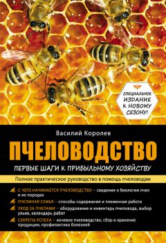 Василий Королев - Пчеловодство: первые шаги к прибыльному хозяйству
