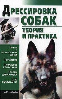 Елена Гурнакова - Дрессировка собак. Теория и практика